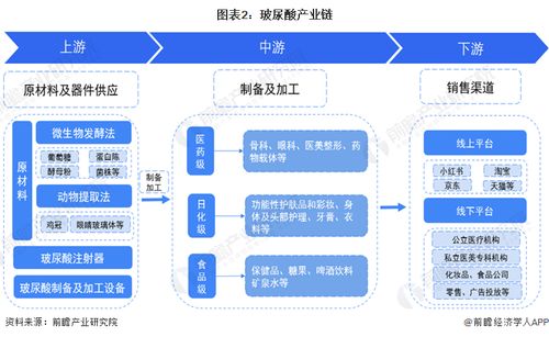 預(yù)見2024 2024年中國玻尿酸行業(yè)全景圖譜 附市場規(guī)模 競爭格局和發(fā)展前景等