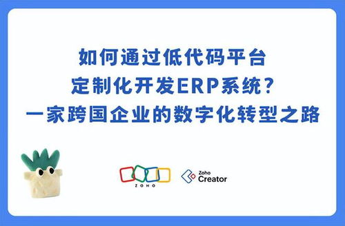 跨國企業(yè)如何用低代碼平臺開發(fā)erp系統(tǒng)
