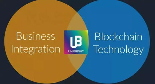 ico評測之unibright 有成熟業(yè)務體系的企業(yè)服務項目