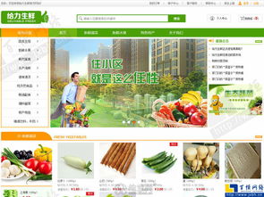 南昌b2c商城網(wǎng)站建設(shè)app開發(fā)技術(shù)網(wǎng)絡(luò)